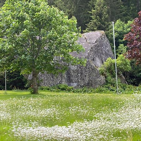 Haus Am Rain Bed & Breakfast Partenen Eksteriør bilde