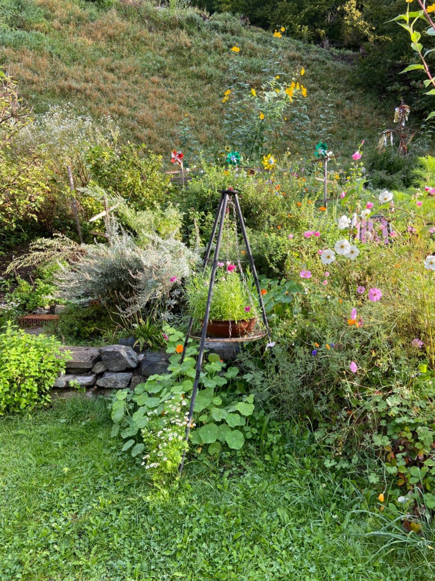 Haus Am Rain Bed & Breakfast Partenen Eksteriør bilde