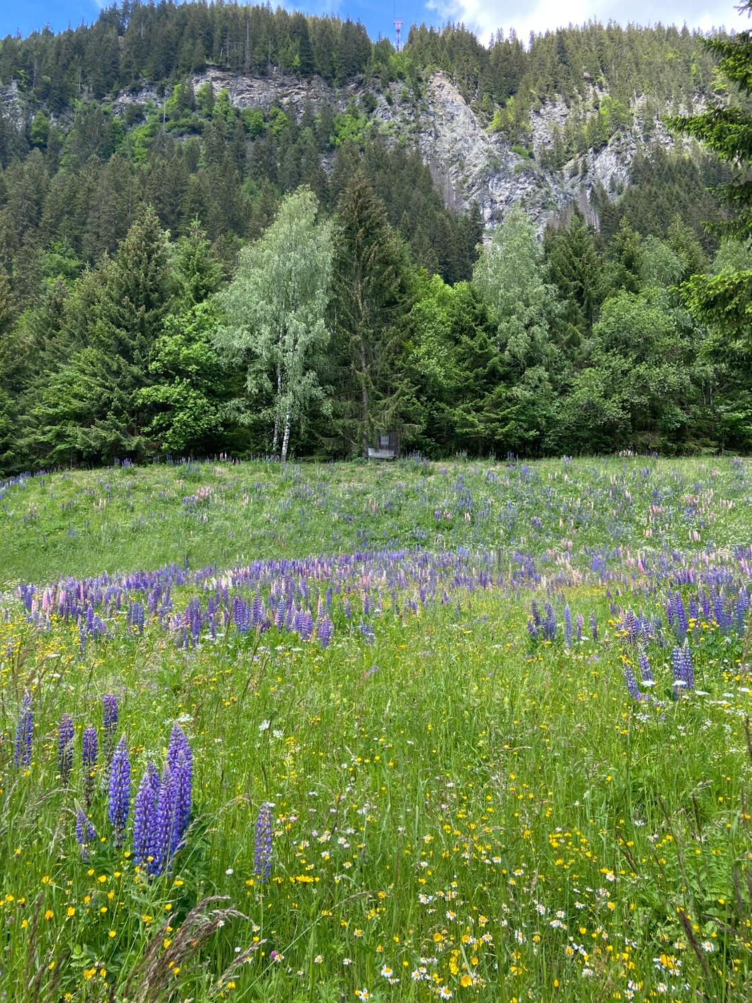Haus Am Rain Bed & Breakfast Partenen Eksteriør bilde