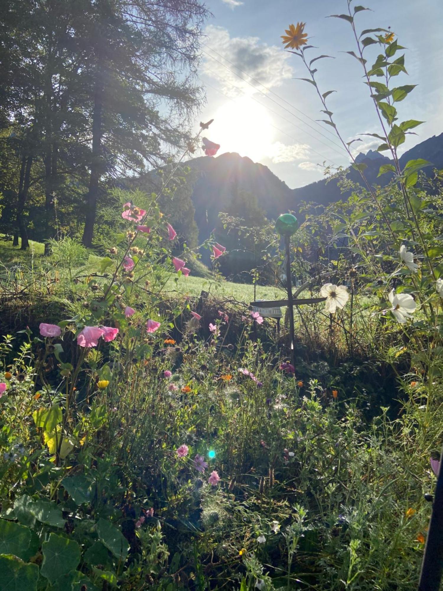 Haus Am Rain Bed & Breakfast Partenen Eksteriør bilde